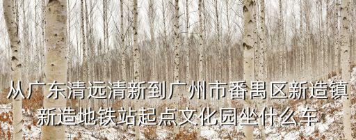 從廣東清遠(yuǎn)清新到廣州市番禺區(qū)新造鎮(zhèn)新造地鐵站起點(diǎn)文化園坐什么車