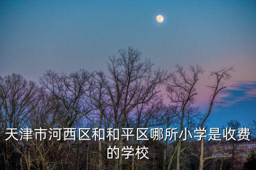 天津市河西區(qū)和和平區(qū)哪所小學(xué)是收費(fèi)的學(xué)校