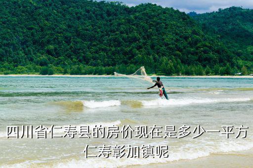 四川省仁壽縣的房價現在是多少一平方仁壽彰加鎮呢