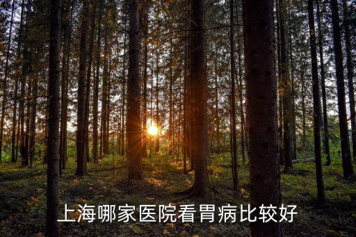 上海哪家醫院看胃病比較好