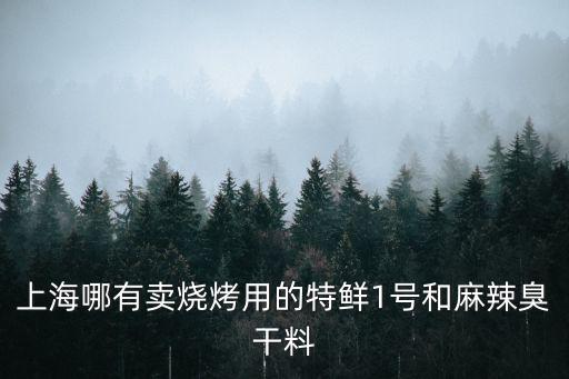 上海哪有賣燒烤用的特鮮1號和麻辣臭干料