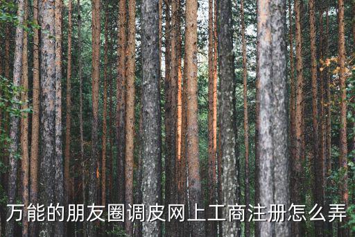工商注冊網(wǎng)上申請流程，工商注冊程序