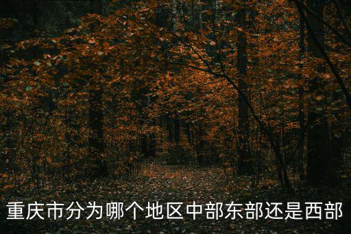 重慶市分為哪個地區(qū)中部東部還是西部