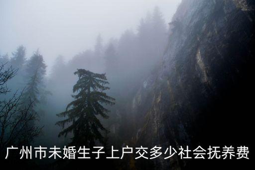 廣州市未婚生子上戶交多少社會撫養費