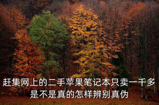 趕集網(wǎng)官網(wǎng)深圳二手，趕集網(wǎng)上的二手蘋果筆記本只賣一千多是不是真的怎樣辨別真?zhèn)?/></a></span><span id=