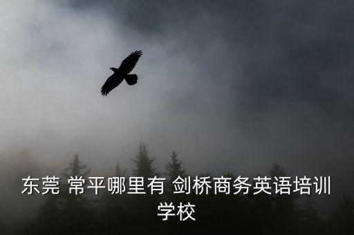 東莞劍橋英語培訓班，東莞有哪些好的英語培訓班