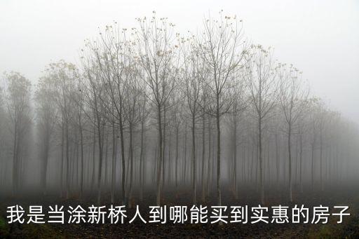我是當涂新橋人到哪能買到實惠的房子
