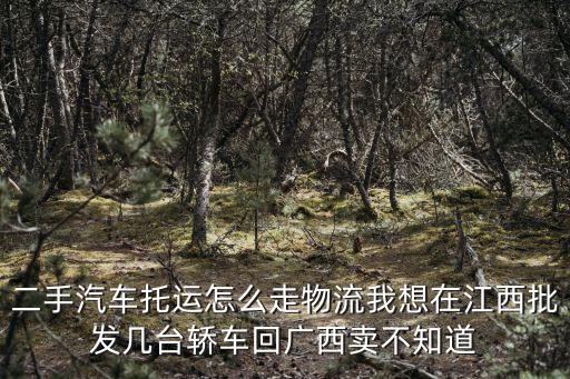 二手汽車托運怎么走物流我想在江西批發幾臺轎車回廣西賣不知道