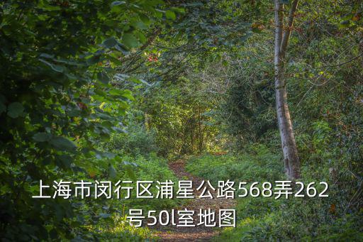 最新上海市地圖全圖 閔行區(qū)，上海市閔行區(qū)浦星公路568弄262號(hào)50l室地圖
