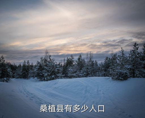 桑植縣有多少個(gè)叫劉苗的人，湖南桑植現(xiàn)在有多少人