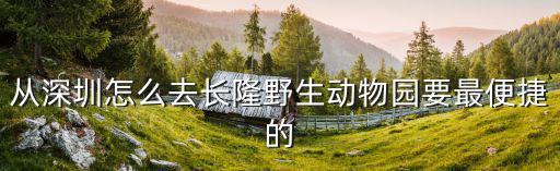 從深圳去長隆野生動物園怎么坐車，從深圳怎么去長隆野生動物園要最便捷的