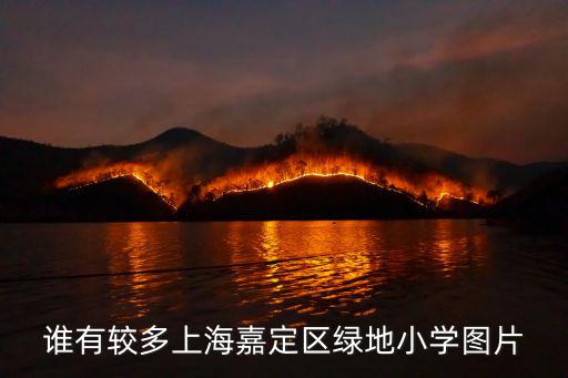 誰有較多上海嘉定區(qū)綠地小學(xué)圖片