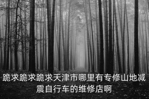 天津市哪里有專業修減震器的，誰知道天津哪有修zippo的