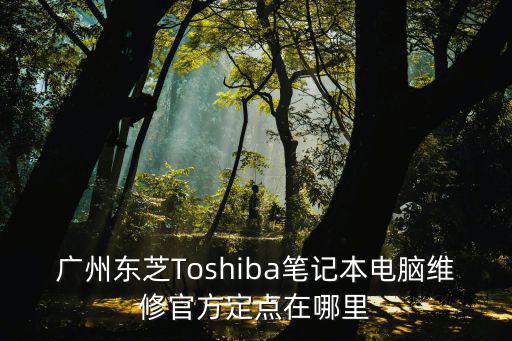 廣州東芝Toshiba筆記本電腦維修官方定點在哪里