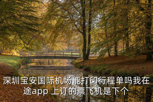 深圳寶安國際機場能打印行程單嗎我在途app 上訂的票飛機是下個