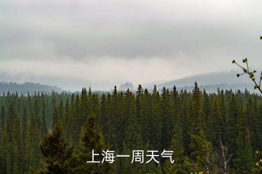 上海一周天氣