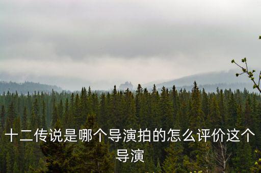 上海市四川遂寧商會(huì) 張丹，十二傳說(shuō)是哪個(gè)導(dǎo)演拍的怎么評(píng)價(jià)這個(gè)導(dǎo)演