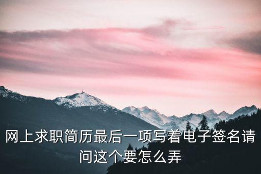網上求職簡歷最后一項寫著電子簽名請問這個要怎么弄