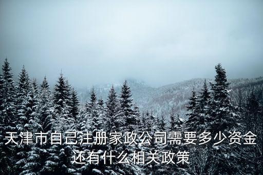 天津市自己注冊家政公司需要多少資金還有什么相關政策