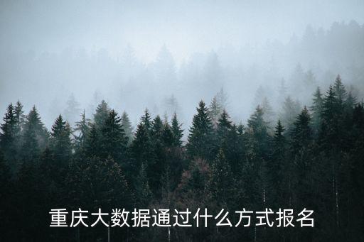 重慶大數據通過什么方式報名