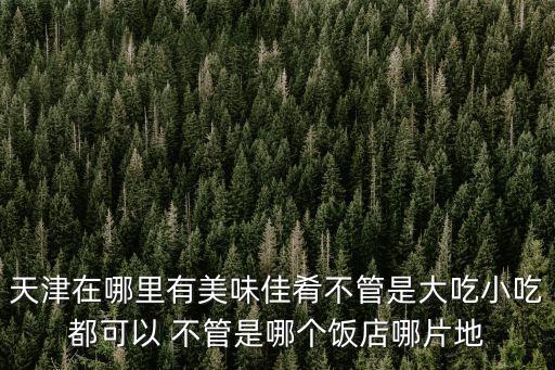 天津在哪里有美味佳肴不管是大吃小吃都可以 不管是哪個飯店哪片地