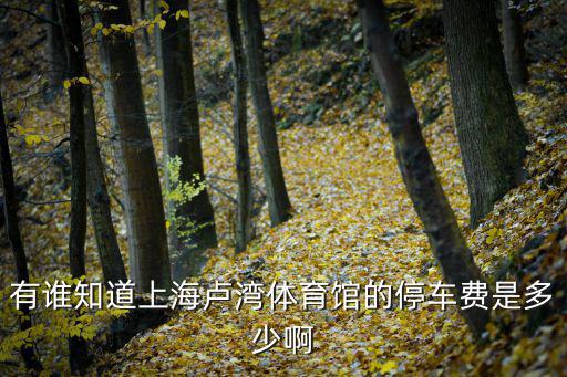 有誰(shuí)知道上海盧灣體育館的停車(chē)費(fèi)是多少啊