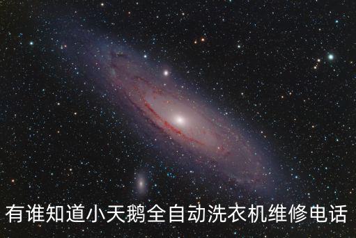 有誰(shuí)知道小天鵝全自動(dòng)洗衣機(jī)維修電話