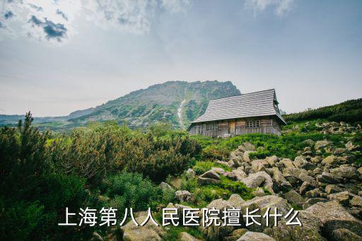 上海第八人民醫院擅長什么