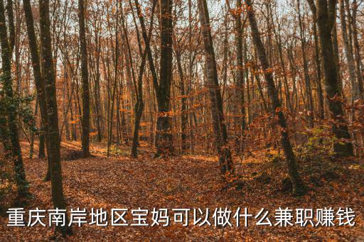 重慶南岸地區(qū)寶媽可以做什么兼職賺錢(qián)