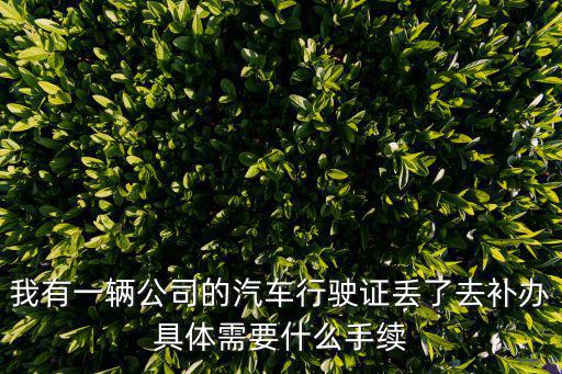 我有一輛公司的汽車行駛證丟了去補辦具體需要什么手續