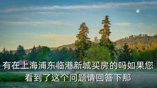 有在上海浦東臨港新城買房的嗎如果您看到了這個(gè)問題請(qǐng)回答下那