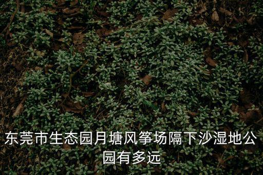 東莞市生態園月塘風箏場隔下沙濕地公園有多遠