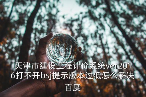 天津市建設(shè)工程計(jì)價(jià) 下載，那有天津市建設(shè)工程計(jì)價(jià)系統(tǒng)破解版下載呀想用來(lái)學(xué)習(xí)一下了解一下工程