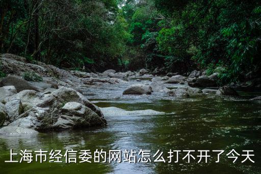 上海市經信委的網站怎么打不開了今天