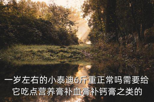 一歲左右的小泰迪6斤重正常嗎需要給它吃點營養膏補血膏補鈣膏之類的