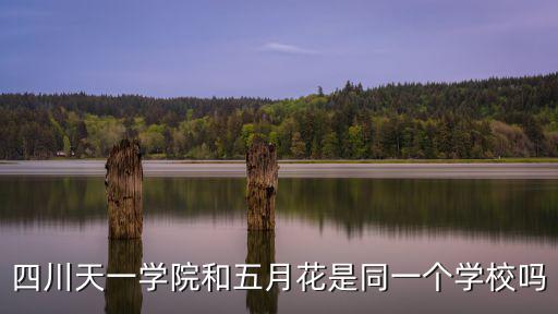 成都市五月花學校天一學校，四川天一學院和五月花是同一個學校嗎
