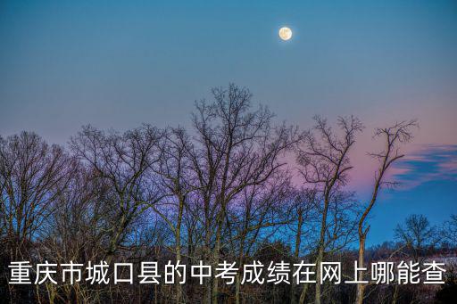 重慶市城口縣的中考成績在網上哪能查