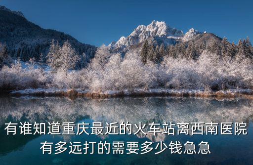 重慶市圖書館到西南醫院步行多遠，重慶火東北站去西南醫院如何走有多遠