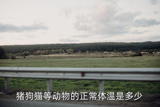 豬狗貓等動物的正常體溫是多少