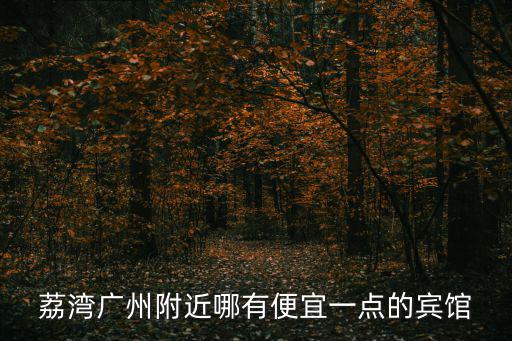 荔灣廣州附近哪有便宜一點(diǎn)的賓館