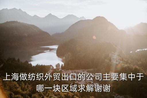 上海市外貿(mào)企業(yè)發(fā)展現(xiàn)狀，上海的外貿(mào)市場將有怎樣的前景宏觀上講