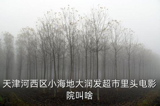 天津河西區(qū)小海地大潤發(fā)超市里頭電影院叫啥