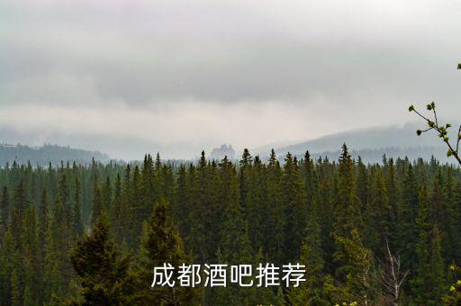 成都酒吧推薦