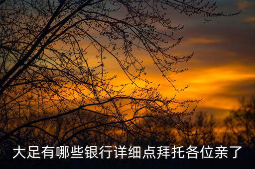 重慶市大足區(qū)中國(guó)銀行網(wǎng)點(diǎn)，大足有哪些銀行詳細(xì)點(diǎn)拜托各位親了