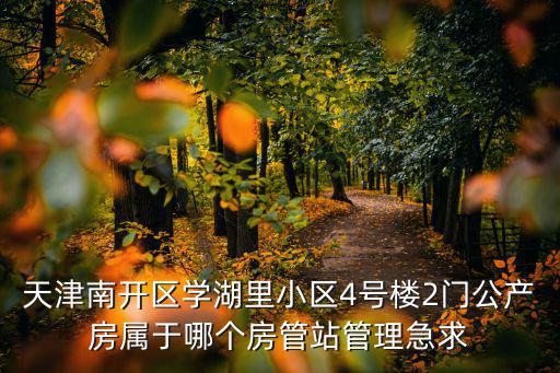 天津南開區(qū)學(xué)湖里小區(qū)4號樓2門公產(chǎn)房屬于哪個房管站管理急求