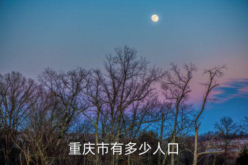重慶市有多少人口