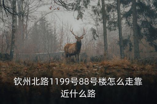 上海市欽州北路1199號87號，欽州北路1199號88號樓怎么走靠近什么路