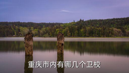 重慶市內有哪幾個衛校
