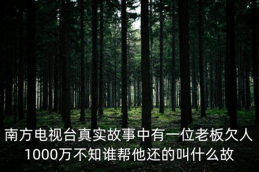南方電視臺真實故事中有一位老板欠人1000萬不知誰幫他還的叫什么故