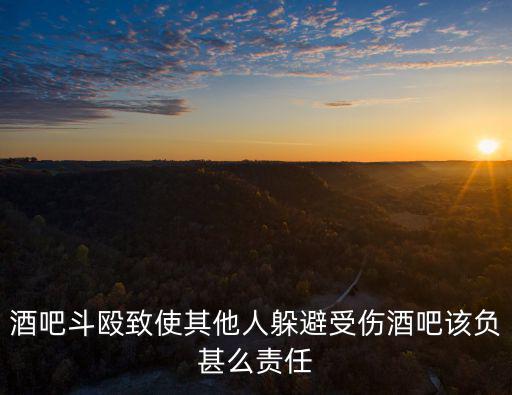 酒吧斗毆致使其他人躲避受傷酒吧該負甚么責任